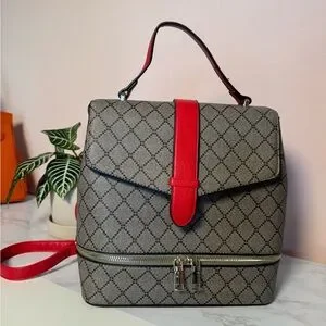 Steve Madden | Bags | Steve Madden Elegant Gray And Red  display picture 1